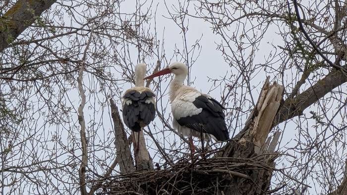 Beste behin, aldaketaren atarian