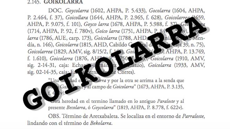 Gasteizek auzo berria du: Goikolarra