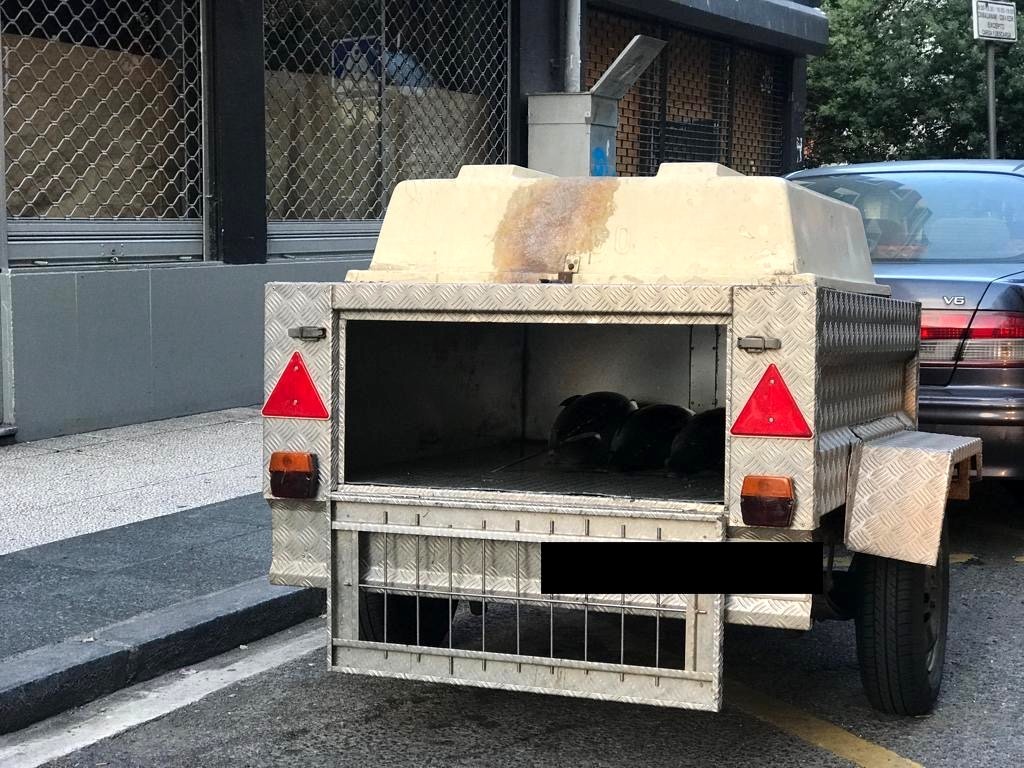 Txakurrentzako atoi batean tona bat arrain garraiatu du gizon batek ekainetik
