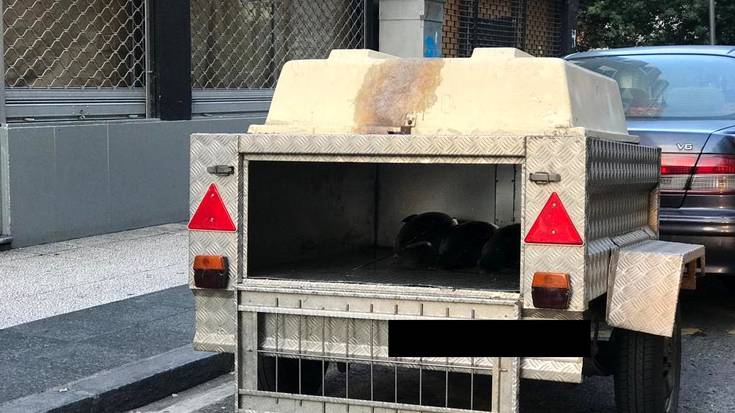 Txakurrentzako atoi batean tona bat arrain garraiatu du gizon batek ekainetik