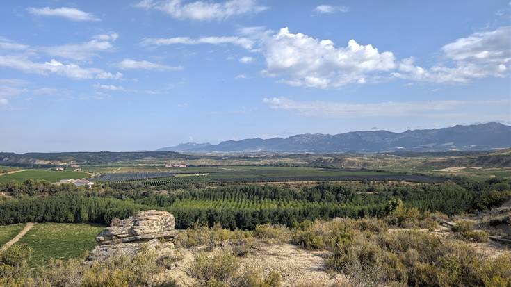 Arnasteko moduan, egun batez