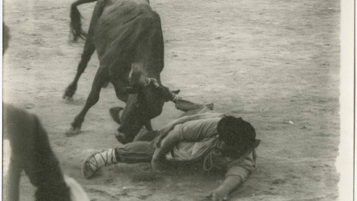 Bigantxak egongo dira Gasteizko jaietan, ganadutegiak berak kudeatuta