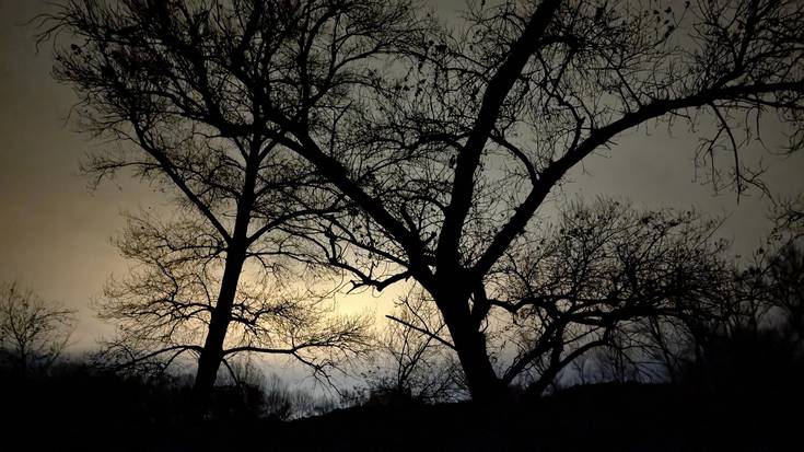 Goibel, baita asteburuan ere