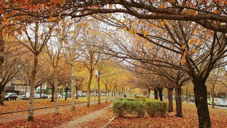 Gasolindegia azken kolpea da