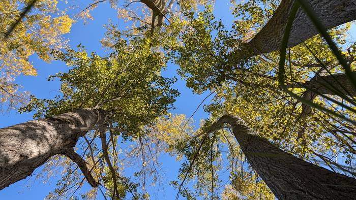 Egun eta erdiz, Eguzkipean