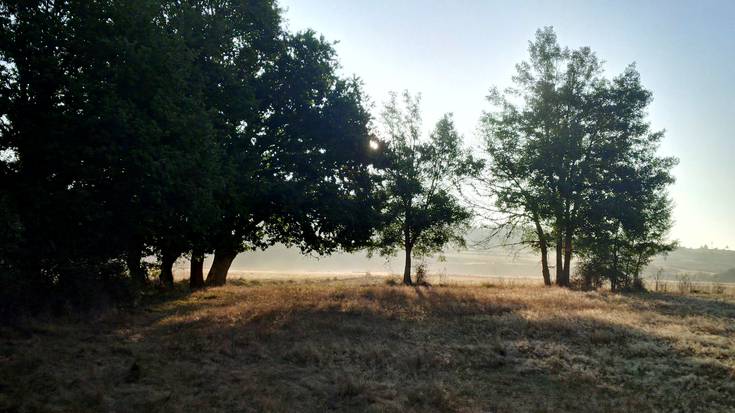 Larunbatera arte, hodeirik ez