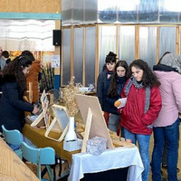 Emakume Sortzaileen V. Azoka