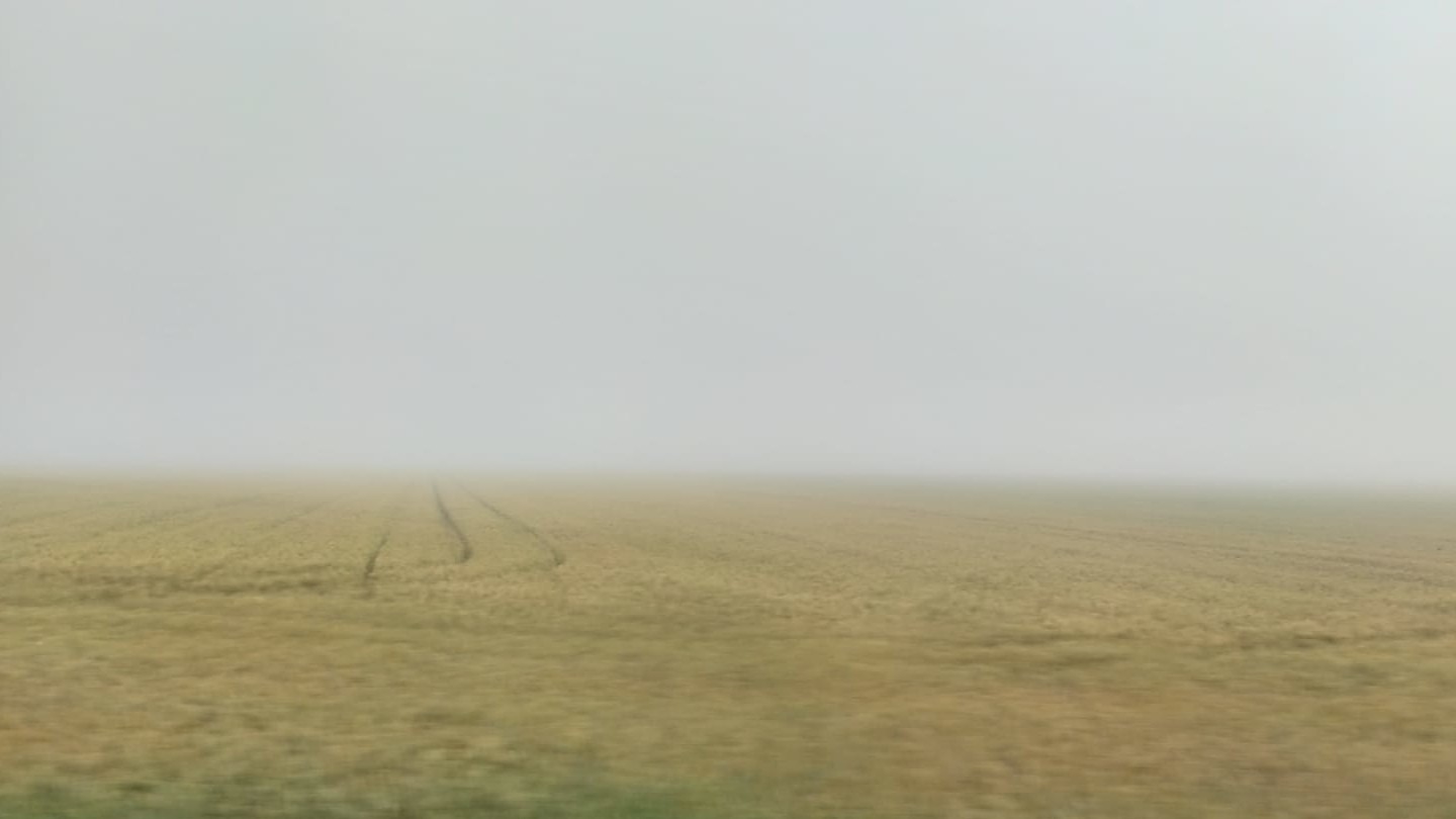 Ekaitzak, eta akaso txingorra ere