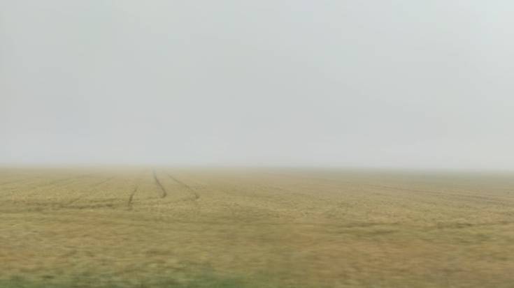 Ekaitzak, eta akaso txingorra ere