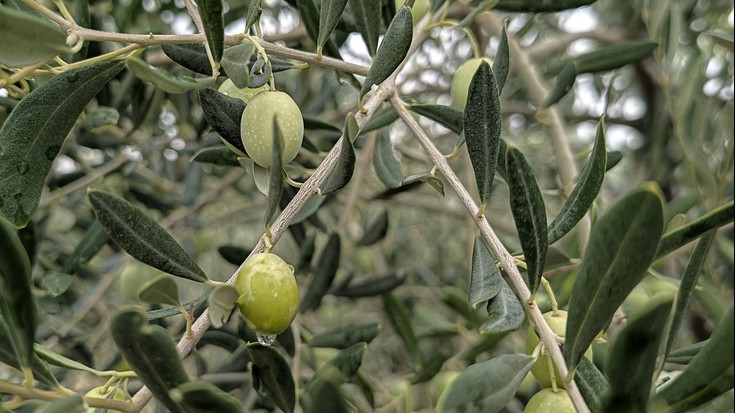 Hasitako bidean tematuko da