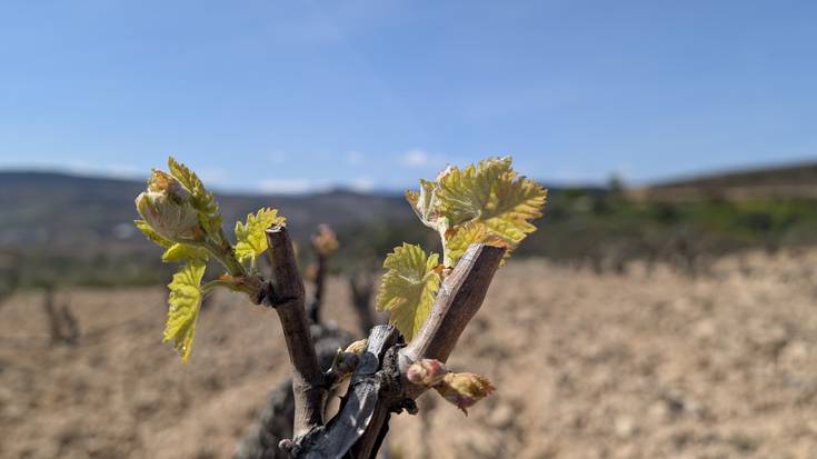 Goranzko tenperaturak