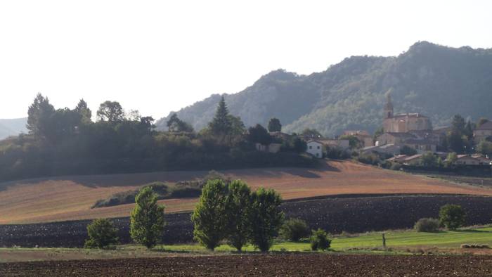 Udazken alproja hori!