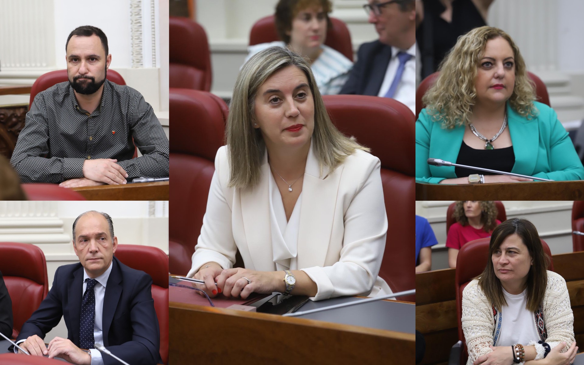 Irma Basterra da Arabako Batzar Nagusietako presidente berria