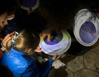 Izkik Starlight ziurtagiria lortu du