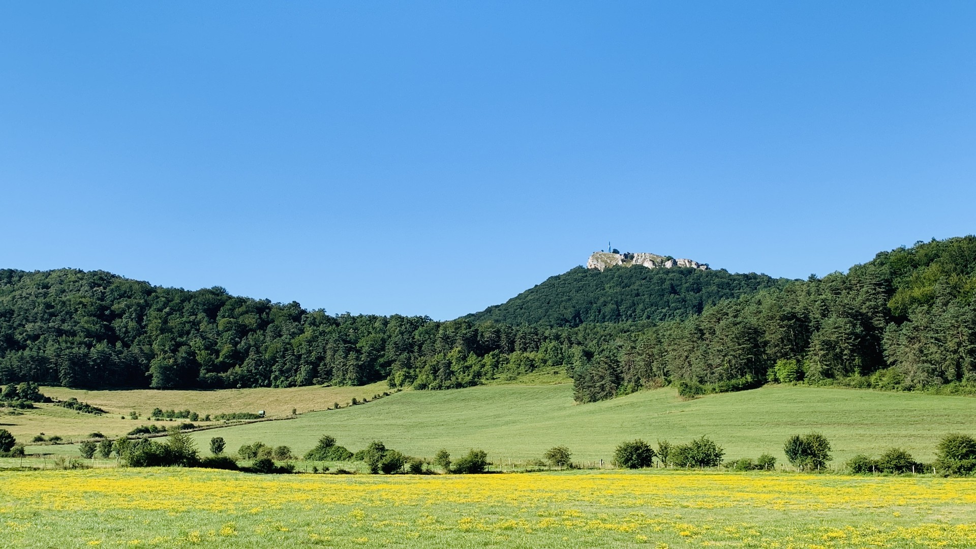 Zeru garbiak eta termometroa gorantz