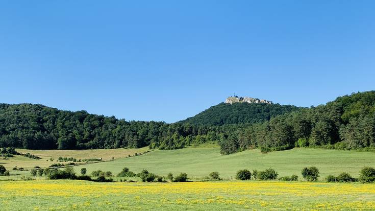 Zeru garbiak eta termometroa gorantz