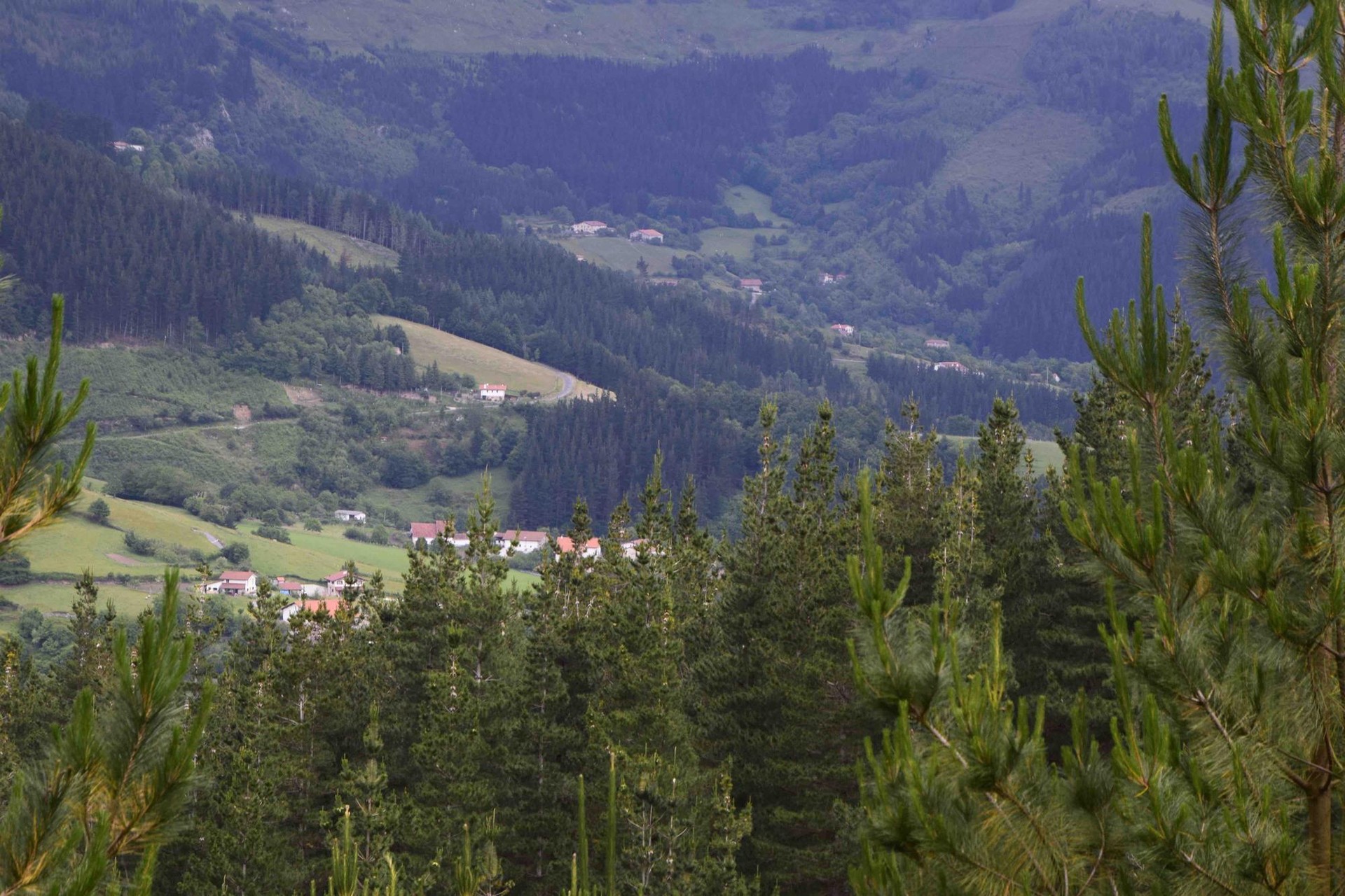 Gorbeialdea alderik alde