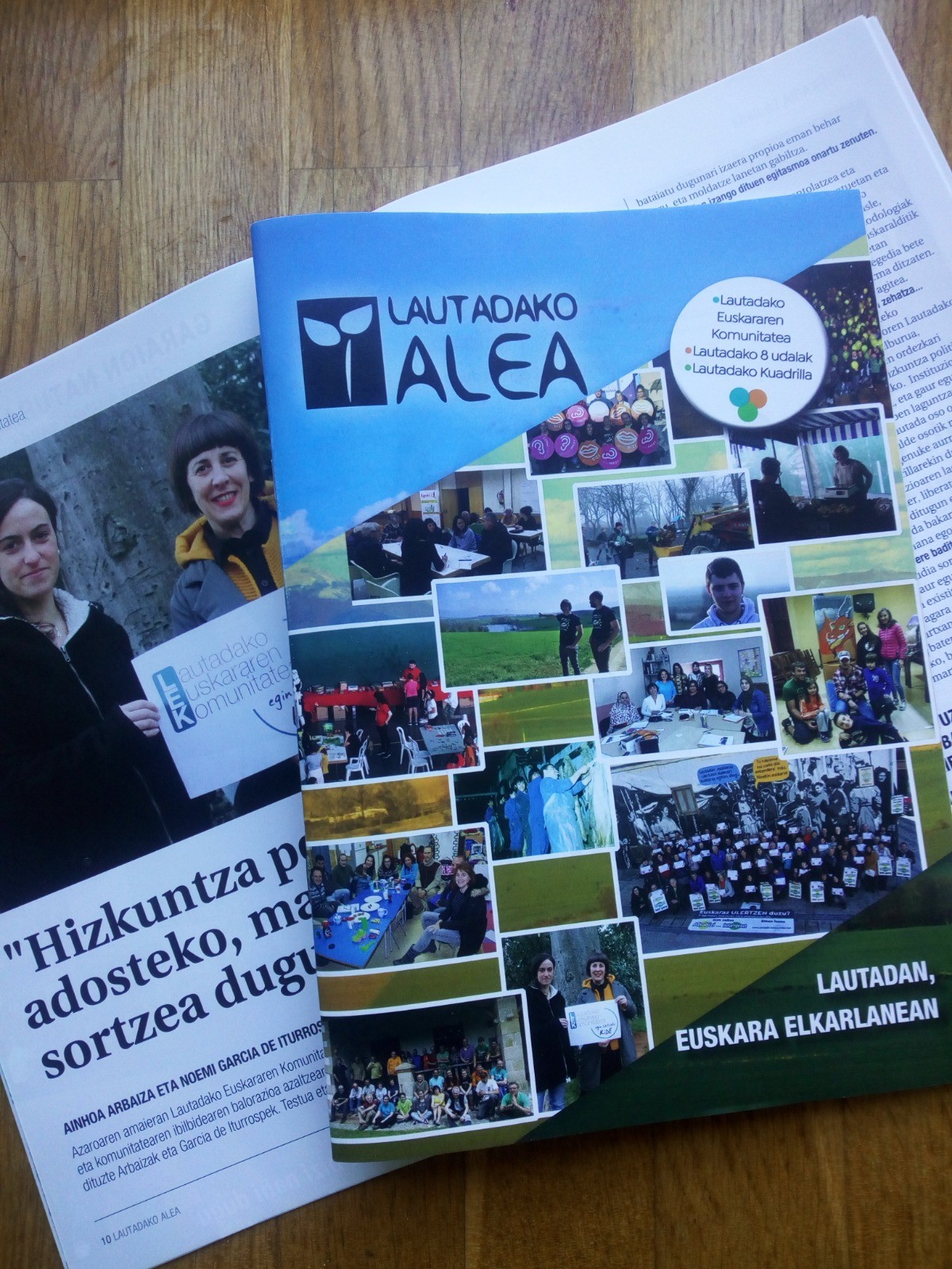 Lautadako ALEA Lautadako etxe guztietan buzoneatu dugu