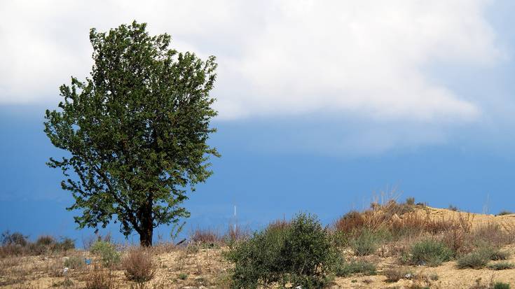 Beroa dator berriz ere