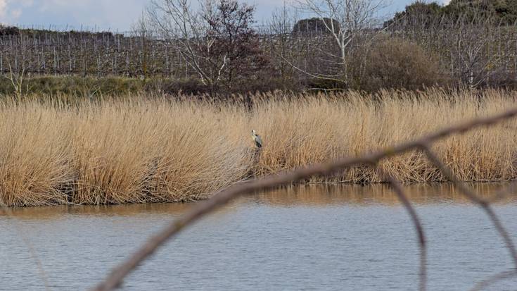 [ONDAREAREN EUROPAKO JARDUNALDIAK] 'GR-38. Ardoaren eta arrainaren ibilbidea Arabako Errioxan'