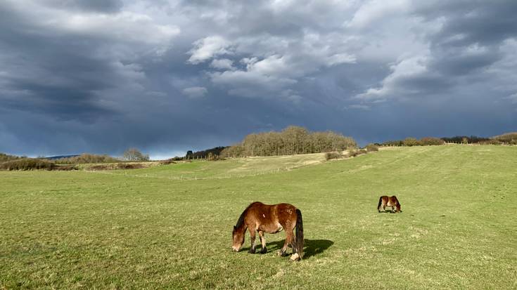 Euri arinak arratsalderako