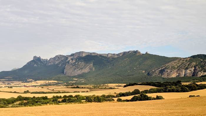 Zertxobait nahasiko da