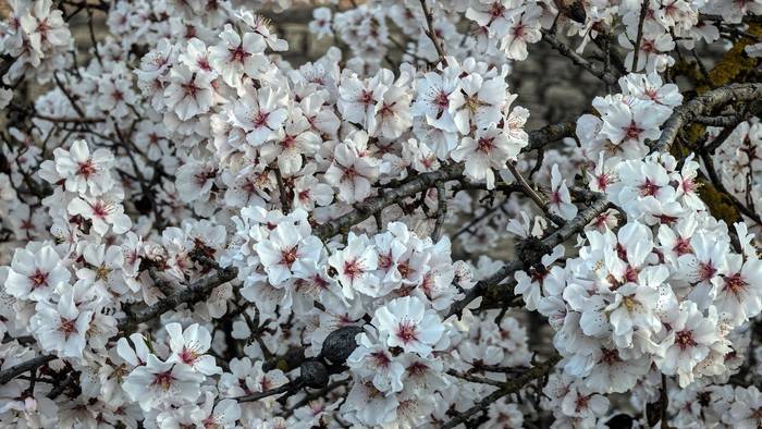 Mantenduko da, momentuz