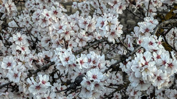 Mantenduko da, momentuz