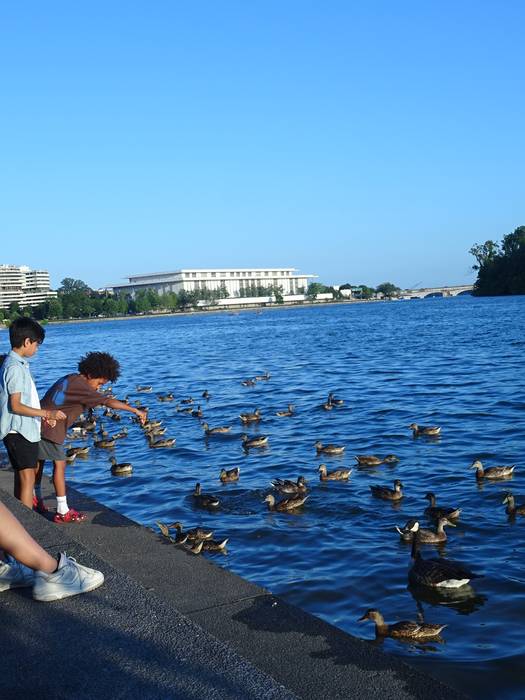 Udako igande lasaiak