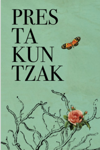 'Aingeruak eta neskameak: haurdunaldi subrogatuei buruzko analisi feministak'