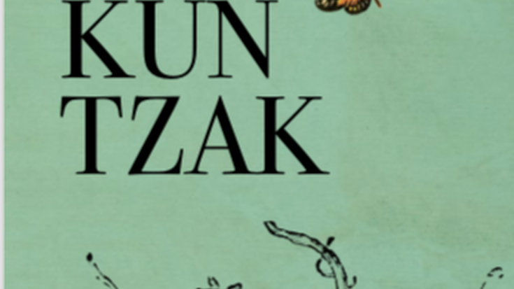 'Aingeruak eta neskameak: haurdunaldi subrogatuei buruzko analisi feministak'