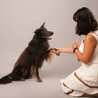 Nola hobetu txakur eta katuen elikadura