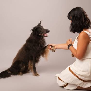 Nola hobetu txakur eta katuen elikadura