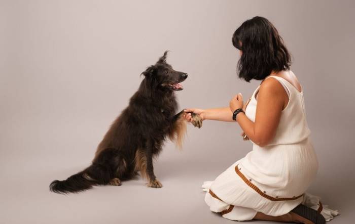 Nola hobetu txakur eta katuen elikadura