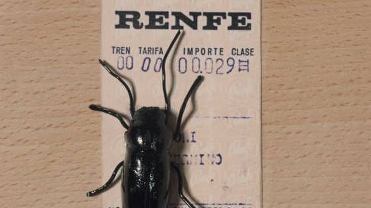 Poesiaren aurpegi anitzak