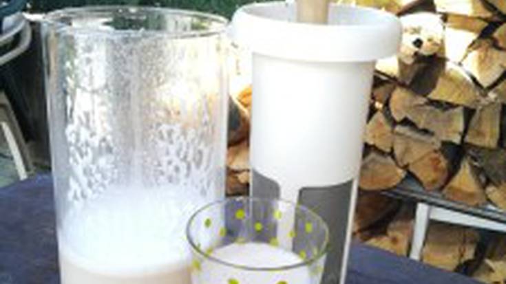 Esne-begetalak egiteko tailerra