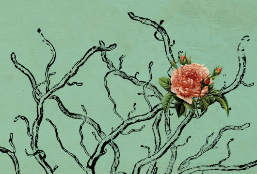 'Generoa eta aniztasun sexuala & haur literatura'