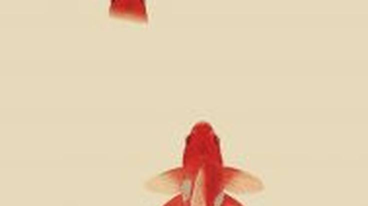 Bihurguneko nasa, Uxue Apaolaza