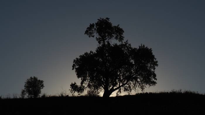 Berriz ere garbitzera