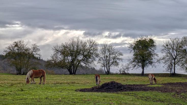 Goibel, baina argitzeko bidean