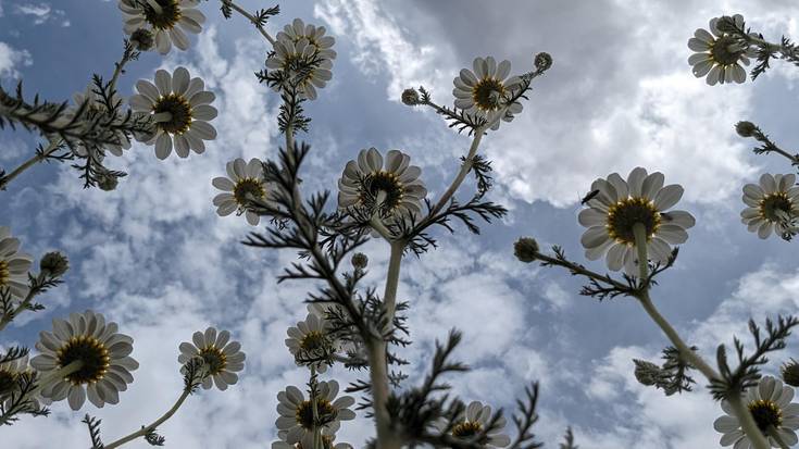 Aldaketa gauzatzear da