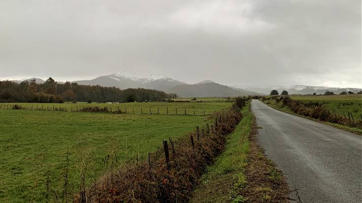 Euriak atseden hartuko du gaurkoz