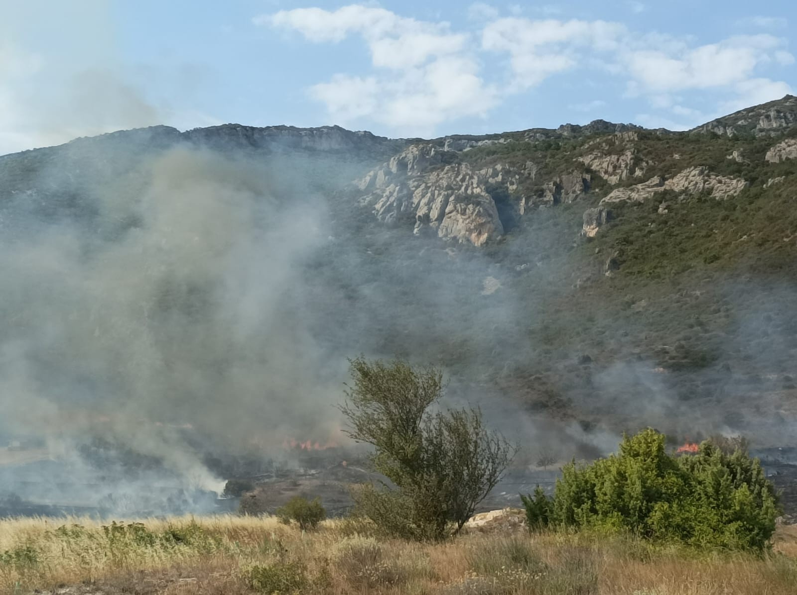 Basoko suteen aurkako plan berezia martxan jarri da Gasteizko landa eremuan