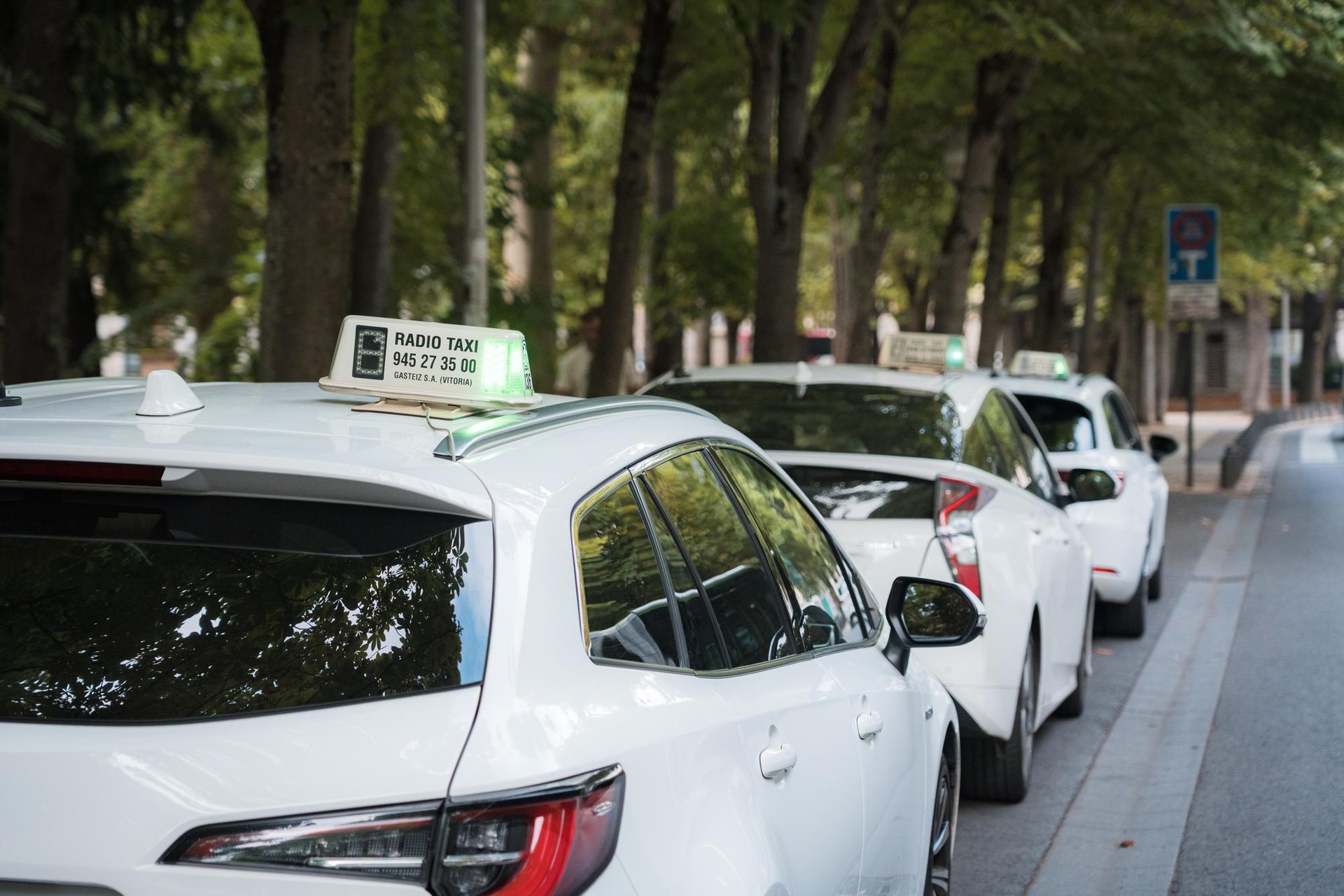 Taxien guardien dekretua bertan behera geratu da behin-behinean