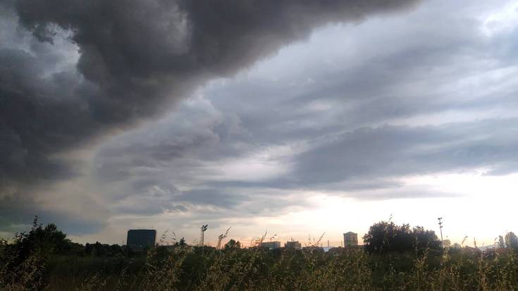 Grisean mantenduko da