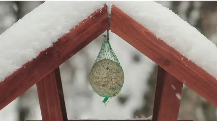 Txorientzako janlekuak