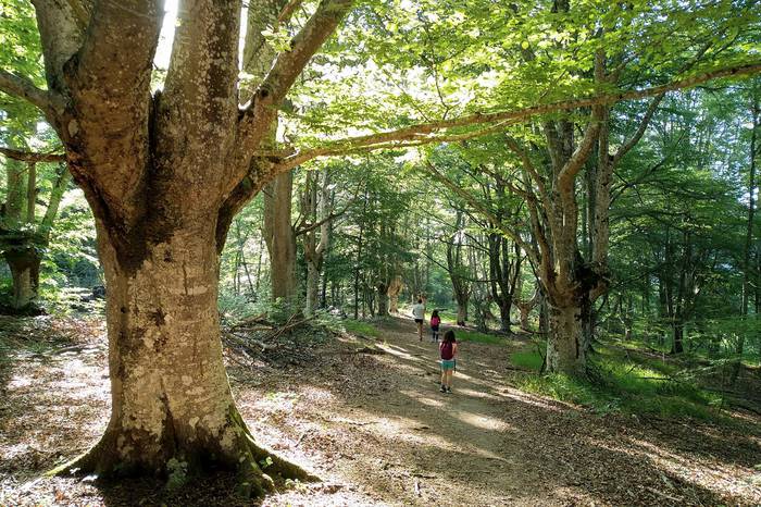 Ingurumenarekiko ardura duten familien bila ari dira