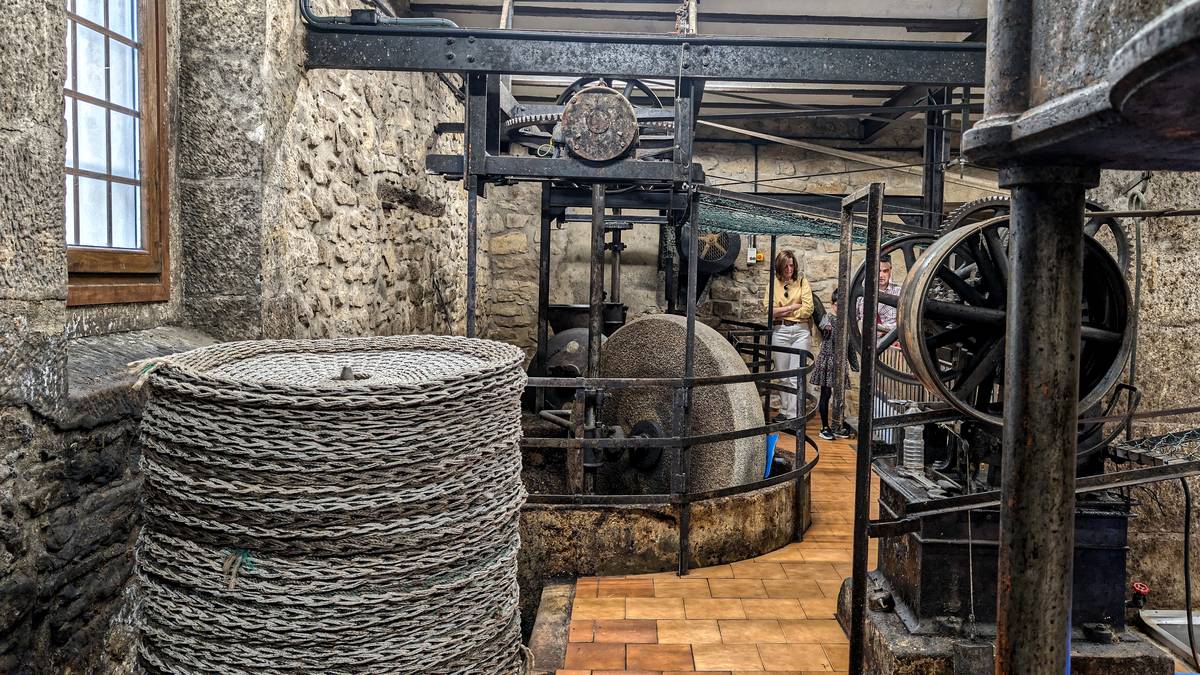 Olioturismoa: goraka ari den kulturari begira