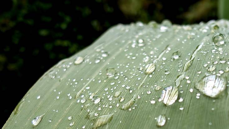 Zaparradak espero dira