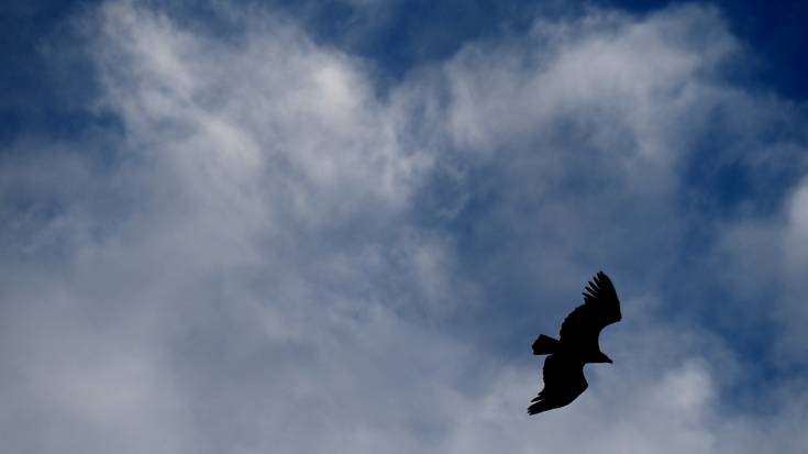 Apur bat nahasiko da